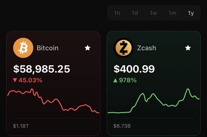 A cryptocurrency price tracking dashboard showing Bitcoin at $58,985.25 (down 45.03%) with a $1.18T market cap and Zcash at $400.99 (up 978%) with a $6.73B market cap, both displayed with their respective line charts.