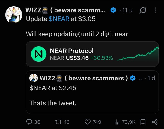 A Twitter post by user "WIZZ_ (beware scammers)" updates $NEAR at $3.05, saying they will keep updating until it reaches a 2-digit price, showing a previous post from 1 day ago when $NEAR was at $2.45. The image demonstrates the user's pattern of posting incremental price updates as $NEAR has risen from $2.45 to $3.05, with a current market price displayed at US$3.46 (+30.53%).