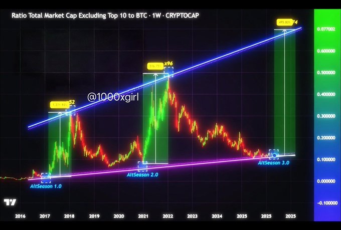 A bullish crypto chart from CRYPTOCAP shows the "Ratio Total Market Cap Excluding Top 10 to BTC" on a weekly basis, highlighting three predicted altseasons (1.0, 2.0, and 3.0) with massive projected gains of x32, x96, and x785, with the latest "AltSeason 3.0" forecast for 2025.

The image perfectly complements the post's call for the "biggest bull run ever," suggesting that 2025 will bring an unprecedented altcoin rally (and the ideal moment to shill a memecoin).