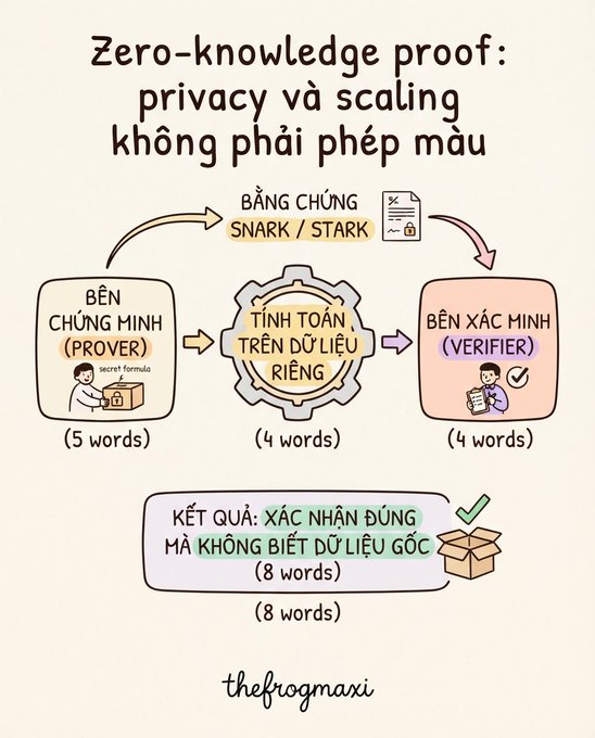 Vietnamese-language infographic explaining Zero-knowledge proof with the title "privacy và scaling không phải phép màu", illustrating a Prover, computation, and Verifier using SNARK/STARK.