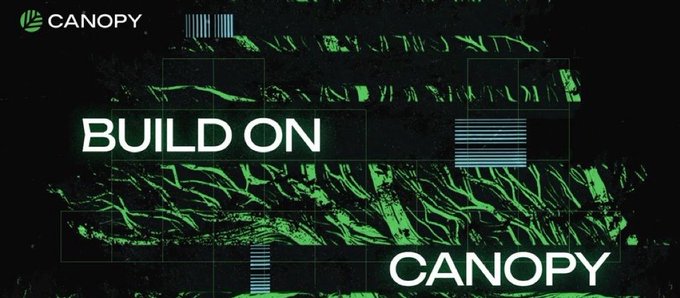A promotional graphic with the Canopy logo and 'BUILD ON CANOPY' text overlaid on a green-tinted mountainous landscape background.