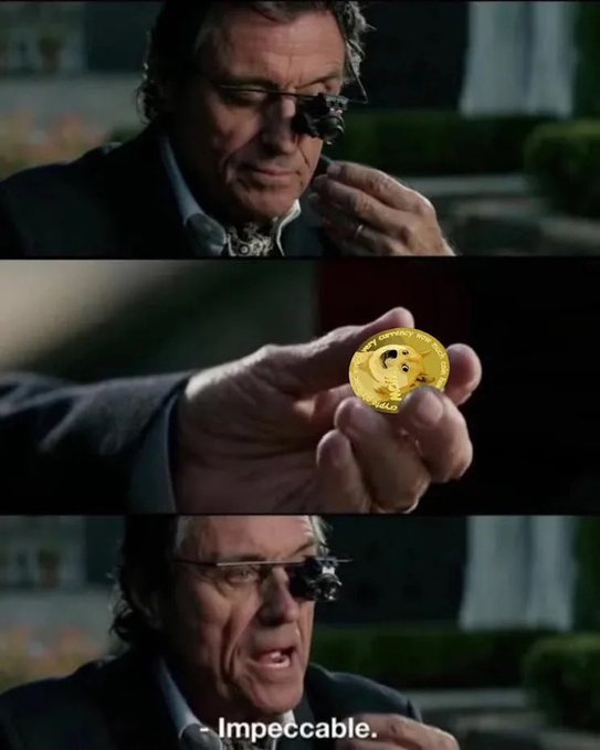 A man wearing sunglasses and a suit carefully examines a gold Dogecoin coin marked "2021" and "HODL," with the subtitle "Impeccable," referencing Dogecoin's standing as a cryptocurrency.