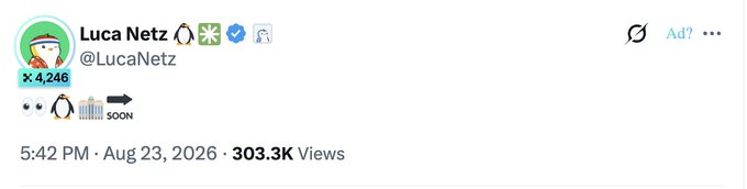X (Twitter) post by Luca Netz (@LucaNetz) with 4,246 reposts and 303.3K views, posted on Aug 23, 2026, containing penguin emojis and the text 'SOON'.