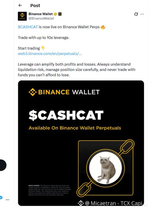 A screenshot of a Binance Wallet Twitter post announcing '$CASHCAT is now live on Binance Wallet Perps' with a graphic showing a cat wearing a suit and bow tie, watermarked '@Micaetran - TCX Capi'.