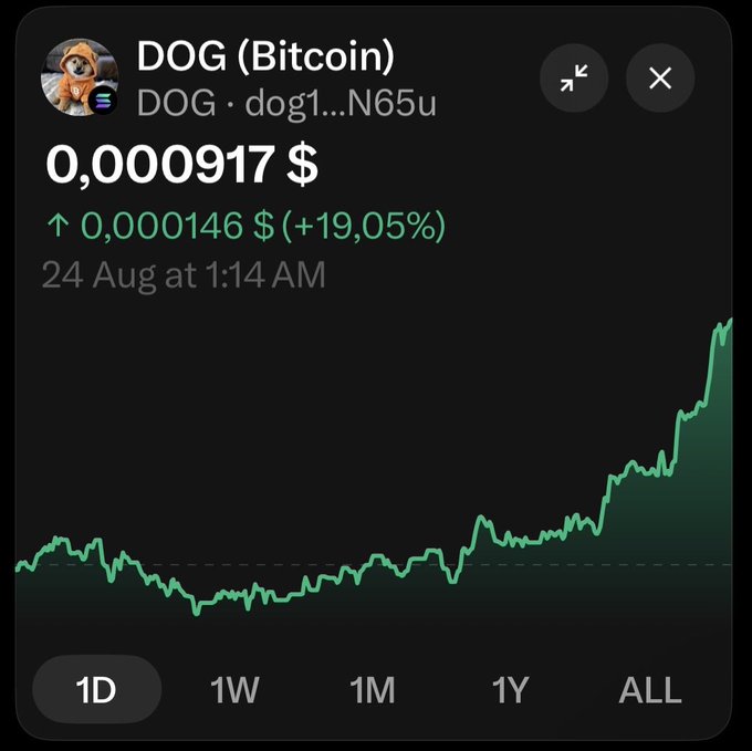 A cryptocurrency tracker displays DOG (Bitcoin) priced at $0.0000917 with a +19.05% gain over 24 hours, visualized through an upward-trending 1-day chart. The screenshot supports the post's bullish prediction by showing the token's strong recent price recovery as the user anticipates reclaiming a $100M market cap.