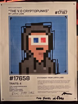 A pixel-art style CryptoPunk certificate by Larva Labs (#17658) labeled 'THE V.0 CRYPTOPUNKS,' showing a hooded figure with red/blue 3D glasses, signed by 'Matt Hall' and 'John Watkinson' and marked 'Two pieces of Punk'.