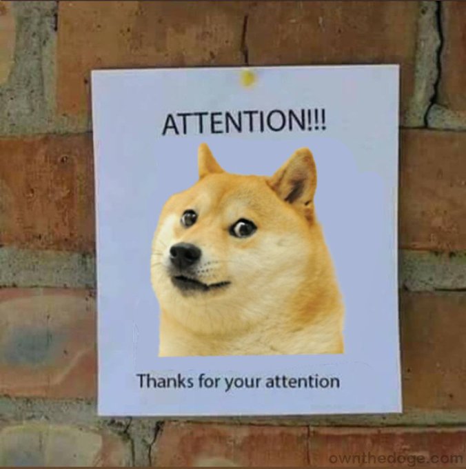 A printed sign on a brick wall featuring a Doge meme face with the text "ATTENTION!!!" at the top and "Thanks for your attention" at the bottom, watermarked "ownthedoge.com".