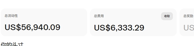 A financial dashboard showing '总流动性' (Total Liquidity) of US$56,940.09 and '总费用' (Total Fees) of US$6,333.29.