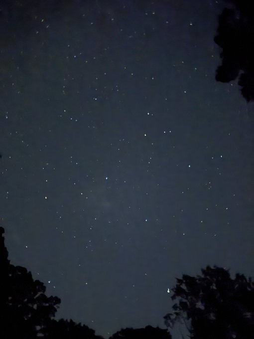 A nighttime photograph looking up at a dark blue sky filled with scattered stars, framed by the dark shapes of tree silhouettes along the edges.