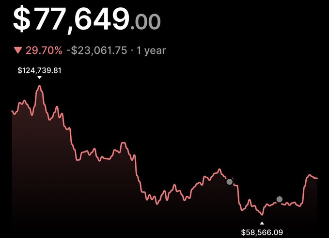 A line chart displaying a value of $77,649.00, down 29.70% (-$23,061.75) over 1 year, with a high of $124,739.81 and a low of $58,566.09 marked on the red trend line.