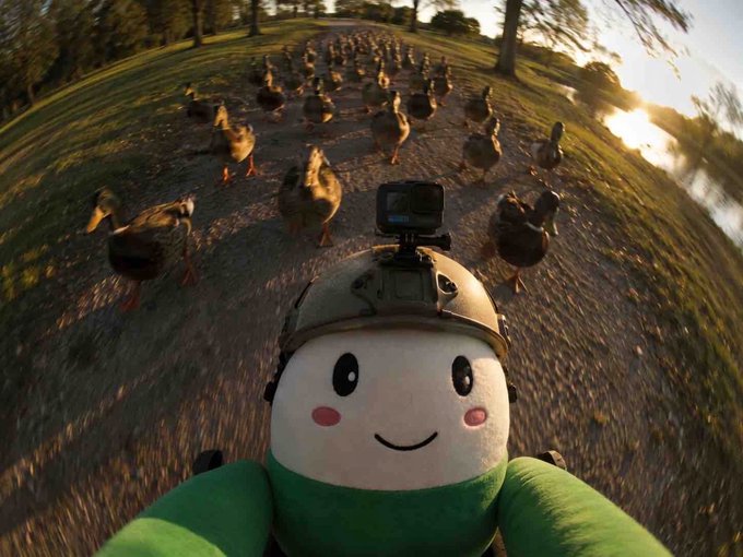 A plush toy with a helmet-mounted GoPro films a flock of ducks from a wide-angle perspective, accompanied by the caption "i am him." The image humorously plays on the bold, confident phrase by juxtaposing it with an adorable, innocent mascot character experiencing an epic outdoor adventure.