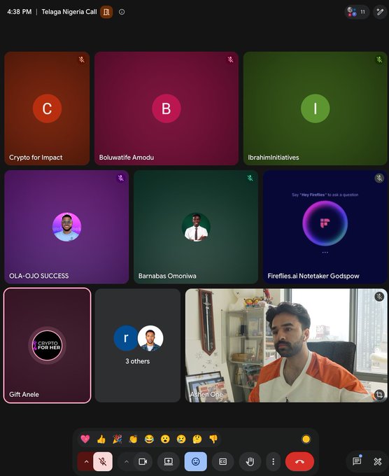 Screenshot of a Google Meet video conference titled 'Telaga Nigeria Call' showing multiple participant tiles with names like 'Crypto for Impact', 'Boluwatife Amodu', 'IbrahimInitiatives', 'OLA-OJO SUCCESS', 'Barnabas Omoruiwa', 'Fireflies.ai Notetaker Godspov', 'Gift Anele', and '3 others'.