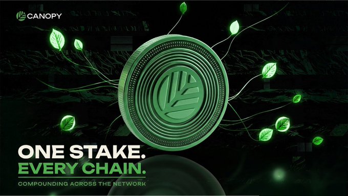 Promotional graphic for Canopy featuring a green coin with a leaf logo, surrounded by floating leaves, with the text 'ONE STAKE. EVERY CHAIN.' and 'COMPOUNDING ACROSS THE NETWORK'.