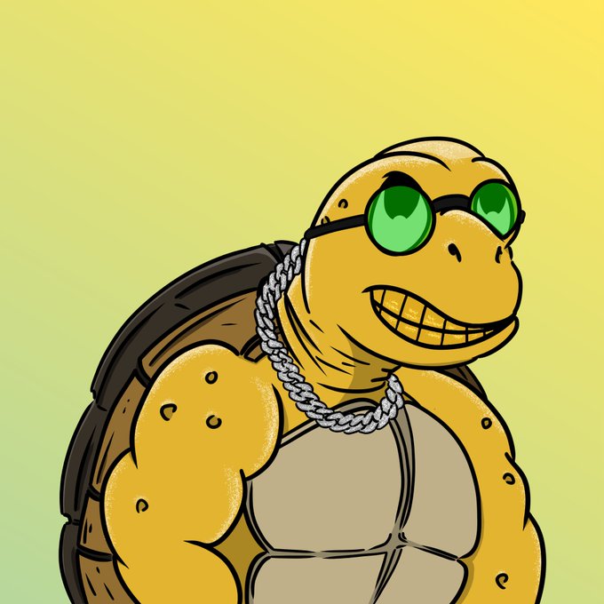 A muscular anthropomorphic turtle with a wide gold-toothed grin, green round sunglasses, a silver chain necklace, and a brown shell, illustrated against a yellow-green gradient background.