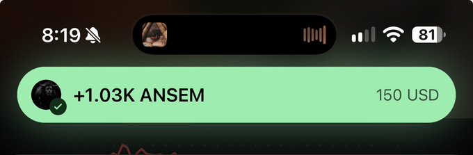 An iOS notification banner showing a payment of '+1.03K ANSEM' worth '150 USD' at 8:19 with a profile icon.