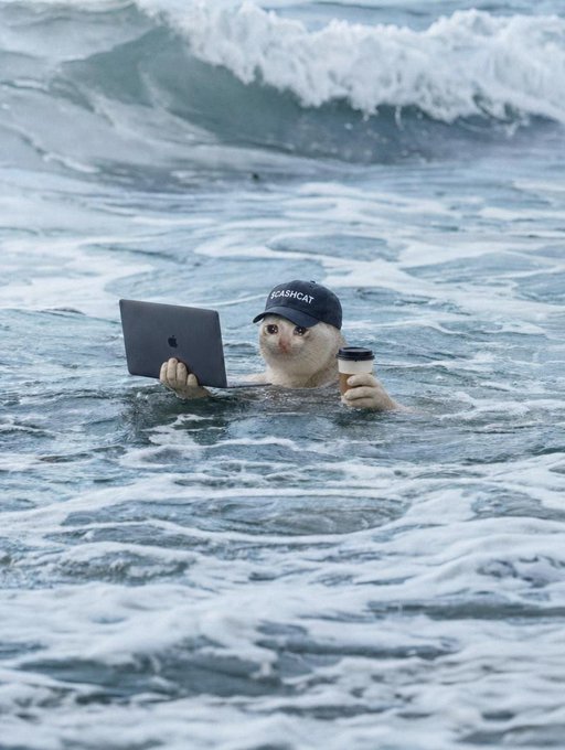 A cat wearing a "CASHCAT" cap sits in ocean waves, typing on a MacBook while holding a coffee cup—perfectly capturing the "remote work" vibe of a $CASHCAT investor watching their $150M market cap token chill on Robinhood.