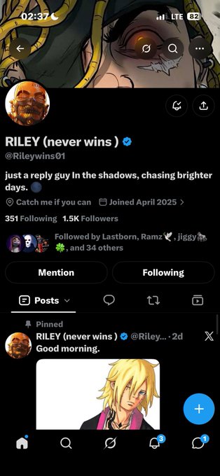 Twitter profile for 'RILEY (never wins)' (@Rileywins01) with bio 'just a reply guy in the shadows, chasing brighter days.' showing 1.5K followers and a pinned post reading 'Good morning.'