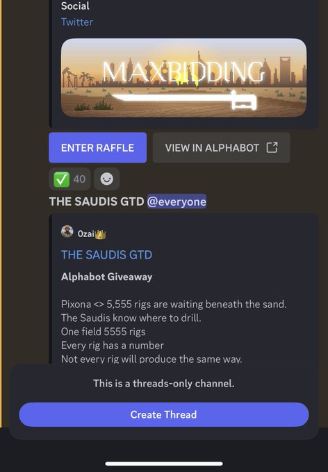 A mobile app screen for 'MAX RIDDING' featuring a desert landscape banner, with options to 'ENTER RAFFLE' and 'VIEW IN ALPHABOT', displaying information about 'THE SAUDIS GTD' Alphabet Giveaway.