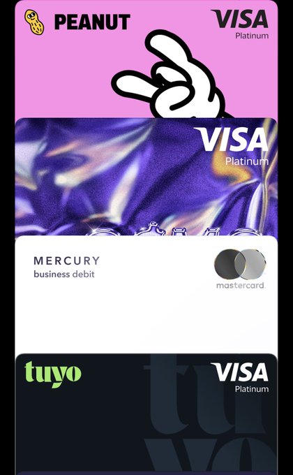 A vertical stack of digital/virtual debit and credit cards including a pink 'PEANUT VISA Platinum', a purple 'VISA Platinum', a white 'MERCURY business debit mastercard', and a dark 'tuyo VISA Platinum'.