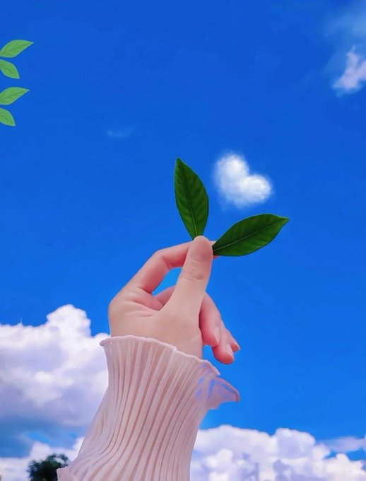 The image features a hand holding two green leaves, with a heart shape formed by the leaves. The background shows a blue sky filled with clouds. The caption provided seems unrelated to the image itself or the main focus of the photo.
