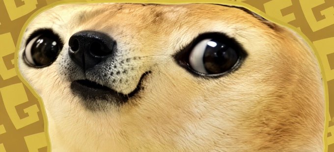 A close-up image of a Shiba Inu dog's face with large, detailed eyes and a black nose, set against a yellow background with a pattern.