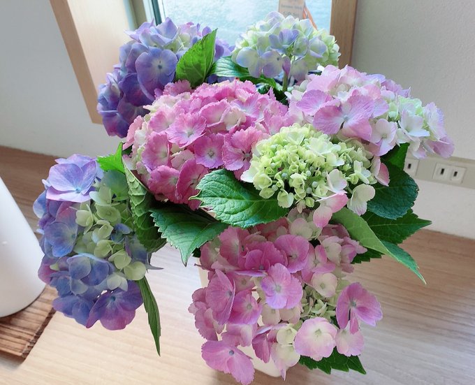 The image features a bouquet of flowers, including hydrangeas with pink and white petals, placed inside a vase on a table or countertop. The flowers are arranged in an aesthetically pleasing manner, creating a visually appealing scene. The background appears to be a wall, which further emphasizes the focus on the beautiful arrangement of flowers.