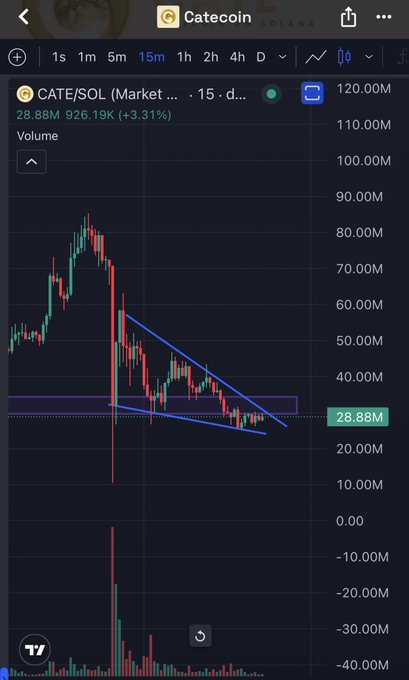 A candlestick chart of CATE/SOL on TradingView shows the token's price at 28.88M, down 3.31% (a loss of 926.19K), after breaking below a descending wedge pattern—visualizing the significant decline mentioned in the "Billion dollar cate" post.
