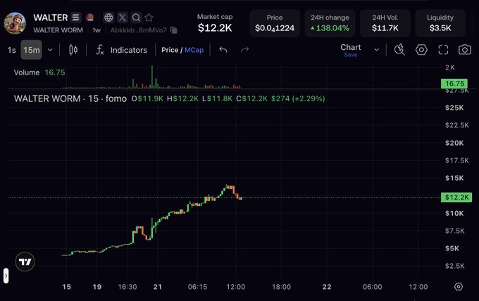 A cryptocurrency price chart for WALTER WORM shows a market cap of $12.2K, price of $0.041224, with a 138.04% 24H change and an upward trending price graph on the TradingView platform.