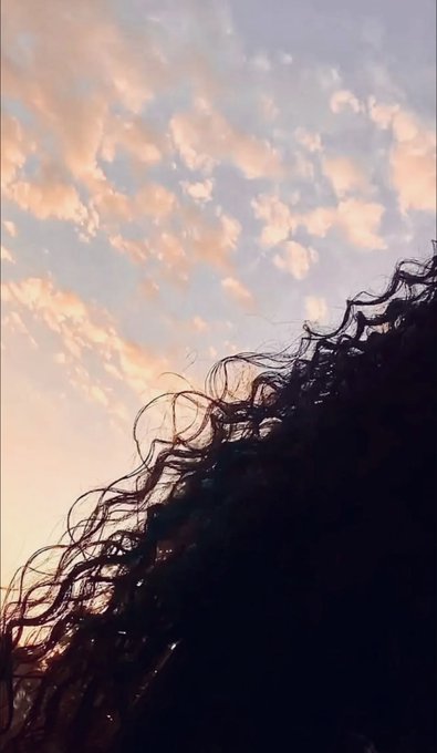 Silhouetted curly hair frames a soft, cloud-streaked sunset, evoking a sense of calm optimism that mirrors the hopeful, "manifesting a big win" sentiment of crypto abundance regardless of one's chosen chain or niche.