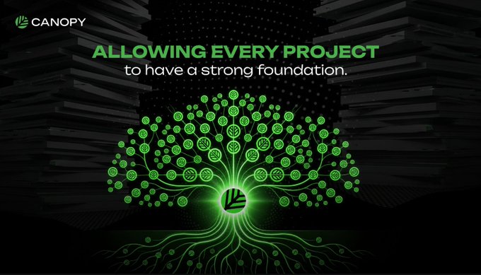 The image is a promotional graphic for Canopy featuring its logo and the tagline "ALLOWING EVERY PROJECT to have a strong foundation," alongside an illustration of a glowing green tree whose roots and canopy are composed of interconnected networks and code symbols—visually conveying Canopy's message of providing scalable infrastructure so founders can build quickly without getting bogged down in configuration.