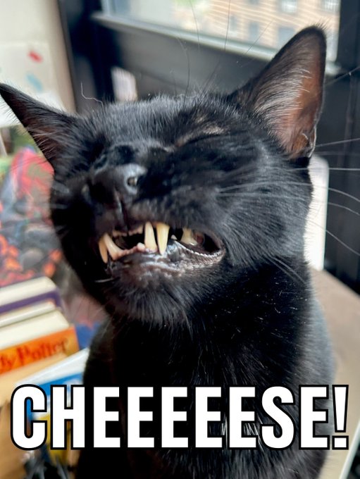 A close-up photo of a black cat baring its prominent fangs, with the caption 'CHEEEEESE!' overlaid at the bottom, appearing to mimic a smile for the camera.