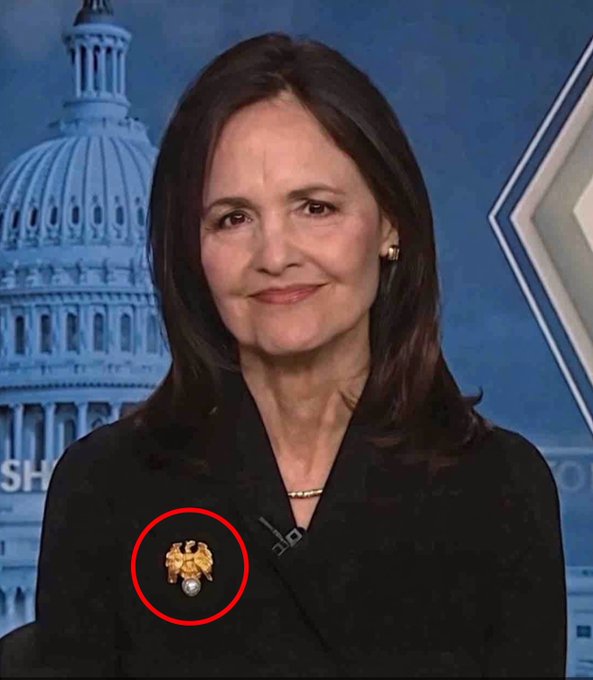 A woman with dark hair, identified as Julia Louis-Dreyfus, appears in a broadcast setting with the U.S. Capitol dome in the background, wearing a black top adorned with a distinctive pearl and gold brooch highlighted by a red circle.