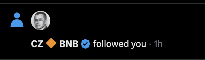 A social media notification screenshot displaying a generic profile icon next to a verified account with the text 'CZ ♦ BNB ✓ followed you · 1h'.
