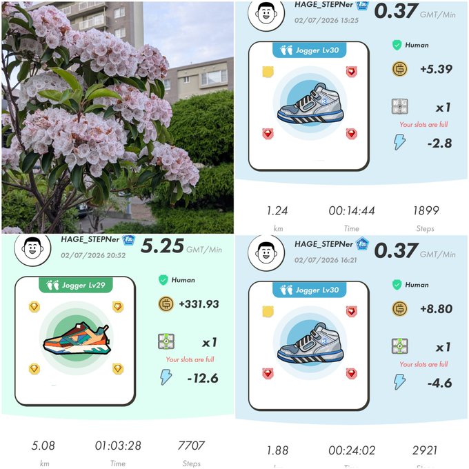 Collage showing pink mountain laurel flowers beside a fitness app screenshot featuring user HAGE_STEPNer with Jogger Lv29 and Lv30 stats including distances, steps, and GMT earnings.