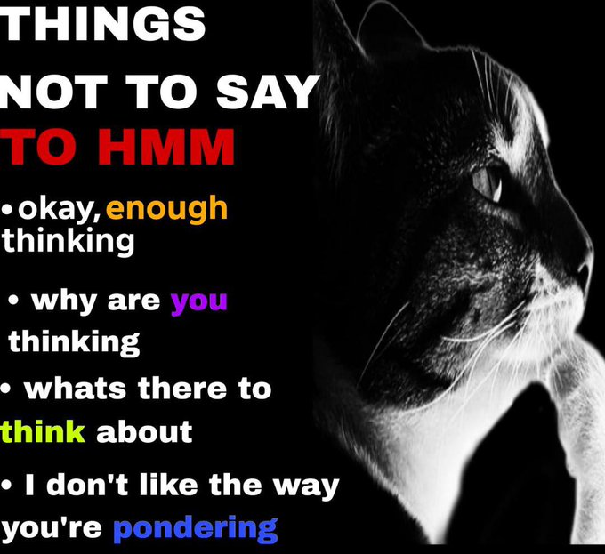 A black and white image of a cat with text reading 'THINGS NOT TO SAY TO HMM' followed by humorous bullet points like 'okay, enough thinking' and 'why are you thinking.'