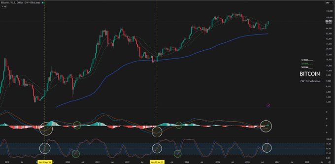 A TradingView chart of Bitcoin (BTC/USD) on a weekly timeframe showing price action with moving averages and MACD indicators, with several key crossover points circled in white and green.