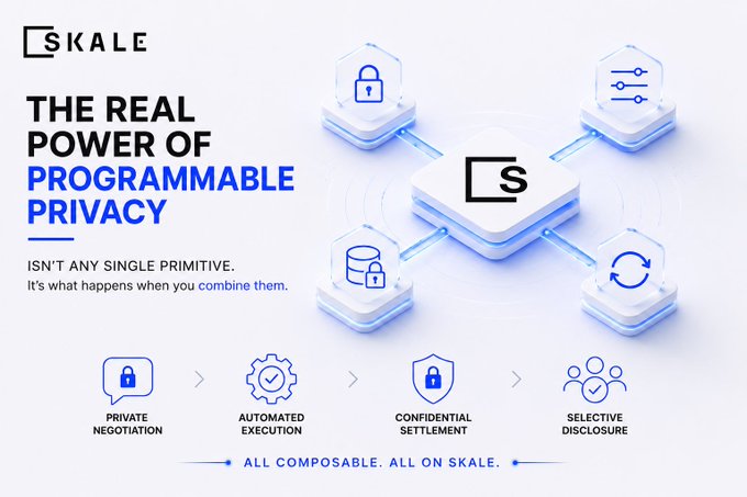 A promotional graphic for 'SKALE' titled 'THE REAL POWER OF PROGRAMMABLE PRIVACY' with the tagline 'ISN'T ANY SINGLE PRIMITIVE. It's what happens when you combine them,' highlighting features like Private Negotiation, Automated Execution, Confidential Settlement, and Selective Disclosure.