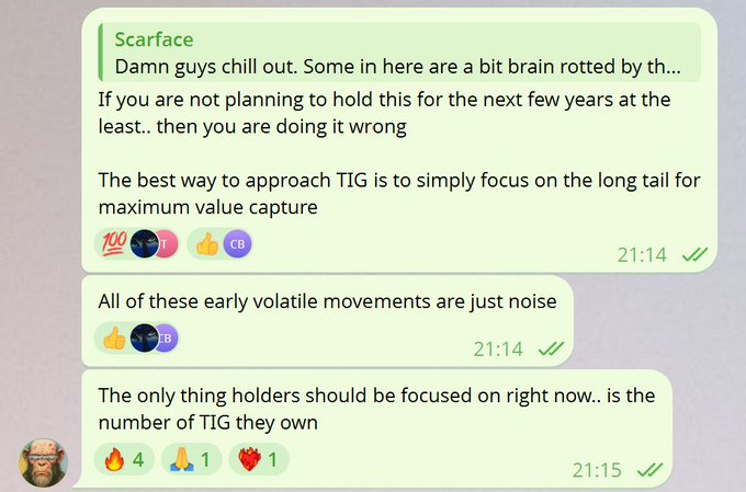 A Telegram chat screenshot from 'Scarface' discussing crypto investment strategy for TIG, stating 'The best way to approach TIG is to simply focus on the long tail for maximum value capture' and that early volatile movements are 'just noise'.