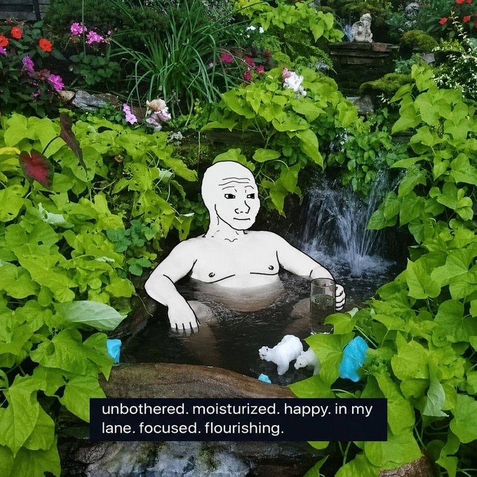 A Wojak meme character soaking in a garden hot tub surrounded by greenery with the caption "unbothered. moisturized. happy. in my lane. focused. flourishing."