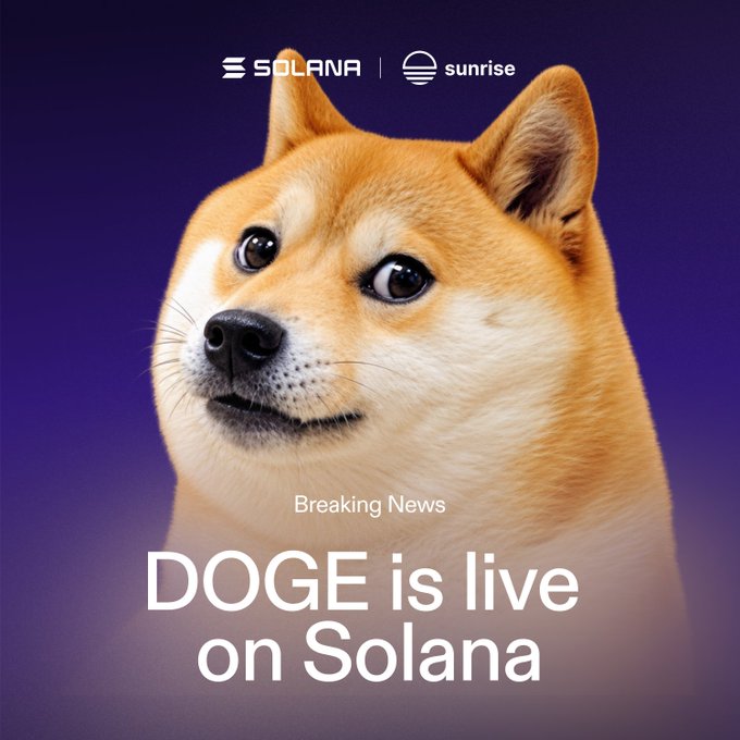 A promotional image featuring a Shiba Inu dog with the text 'SOLANA' and 'sunrise' logos at the top, and 'Breaking News: DOGE is live on Solana' displayed below.