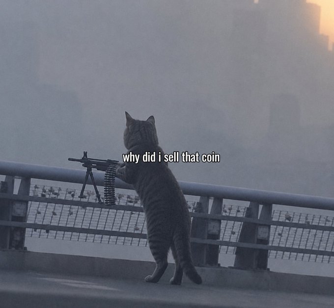 A humorous meme showing a cat standing on its hind legs operating a mounted machine gun on a railing, with the caption 'why did i sell that coin' against a foggy city backdrop.