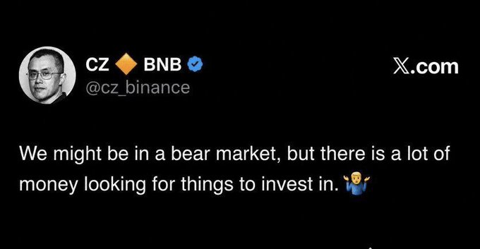 A tweet from CZ Binance (@cz_binance) reads: "We might be in a bear market, but there is a lot of money looking for things to invest in. 🤷‍♂️"