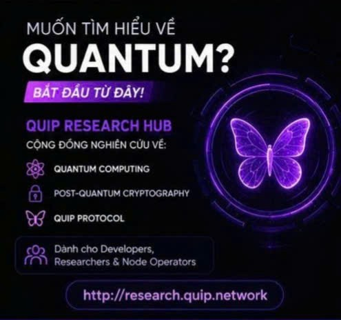A promotional graphic on a dark background advertising a Quantum research hub in Vietnamese and English, reading 'MUỐN TÌM HIỂU VỀ QUANTUM?' and 'BẮT ĐẦU TỪ ĐÂY!', listing topics like Quantum Computing, Post-Quantum Cryptography, and Quip Protocol, with the URL http://research.quip.network and a glowing purple butterfly hologram.