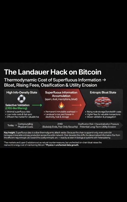 An infographic titled 'The Landauer Hack on Bitcoin' discussing the 'Thermodynamic Cost of Superfluous Information,' illustrating the transition from a 'High Info-Density State' to an 'Entropic Bloated State.'