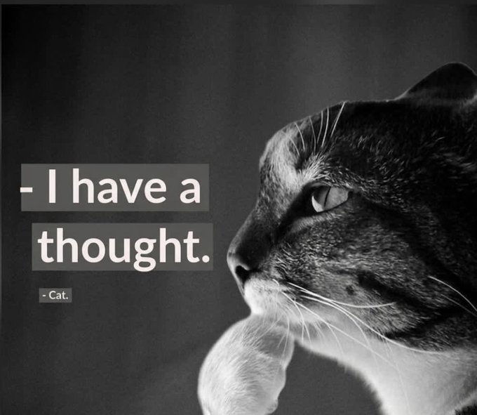 A black-and-white meme showing a serious-looking cat in profile next to the text "I have a thought. - Cat." The contemplative cat pairs perfectly with the post's "Hmm" caption, playing on the $HMM ticker to humorously suggest the coin (and its cat mascot) is pondering its impressive stats of 14,000 holders and sub-$30M market cap.
