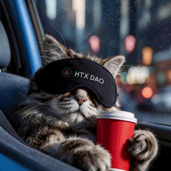 A fluffy tabby kitten wearing a black sleep mask labeled 'HTX DAO' while holding a red coffee cup inside a vehicle at night.