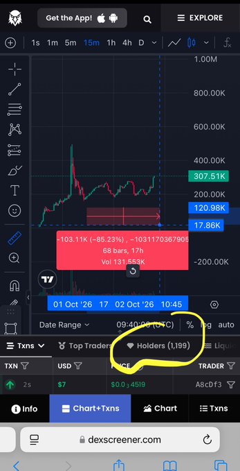 A screenshot of a trading chart from dexscreener.com displays a significant price drop of -86.23% (-103.11K) for the ticker 'TY', with the 'Holders (1,199)' metric circled in yellow.