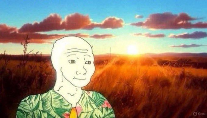 The Wojak meme character with a serene expression stands in a golden field at sunset, wearing a tropical floral shirt, generated with the Grok watermark visible.