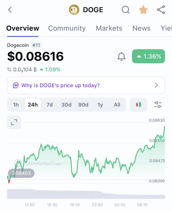 A CoinMarketCap screenshot showing Dogecoin (DOGE) priced at $0.08616, up 1.36% over 24 hours, with a price chart displaying fluctuations.