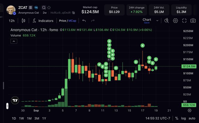 A cryptocurrency chart displays ZCAT (Anonymous Cat) token data with a market cap of $124.5M, showing a 7.92% 24-hour price increase via candlestick patterns on DexScreener.